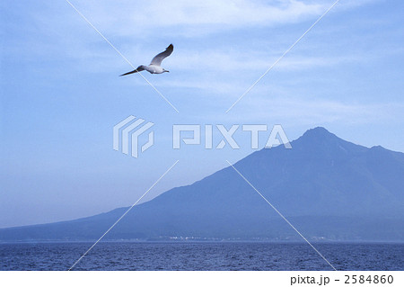 利尻島へ 利尻島へ 2584860