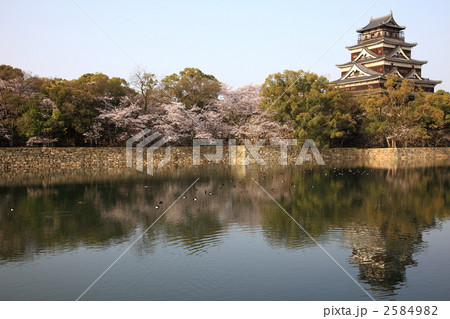 広島城と桜 広島城と桜 2584982