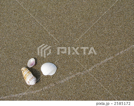 砂浜の貝殻 2585172