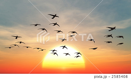 季節 群れ 鳥類のイラスト素材 [2585408] - PIXTA