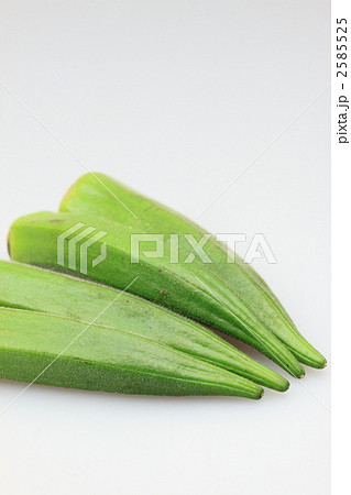 オクラ 2585525