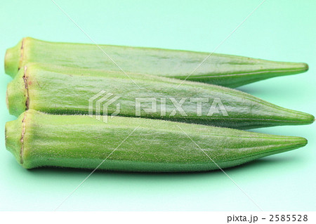 オクラ オクラ 2585528