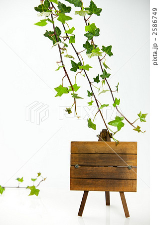 memory's of you 2586749