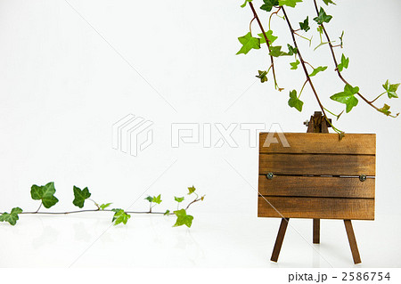 memory's of you 2586754