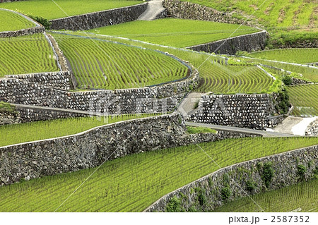 井仁の棚田 2587352
