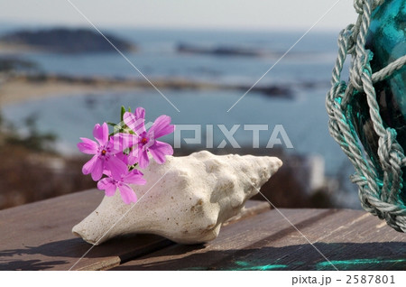 芝桜とガラス浮き 2587801