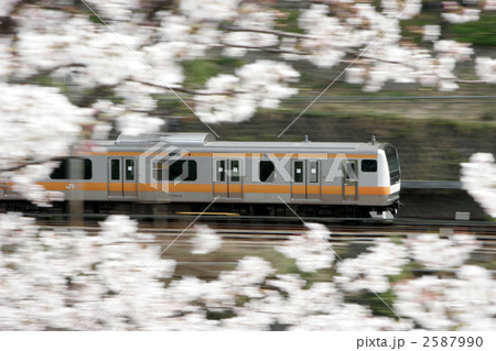 桜の中を疾走する中央線 2587990
