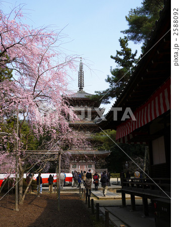 都 世界遺産 醍醐寺 国宝 五重塔 都 世界遺産 醍醐寺 国宝 五重塔 2588092