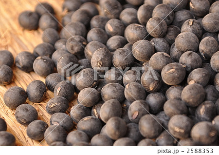 丹波黒大豆 丹波黒大豆 2588353