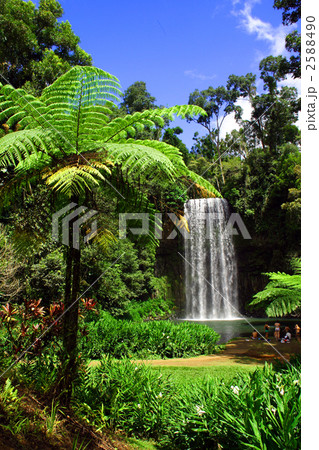 ミラミラ滝 2588490