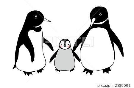 家族 ペンギン 親子のイラスト素材