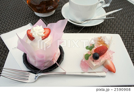 春色のケーキ 春色のケーキ 2590908