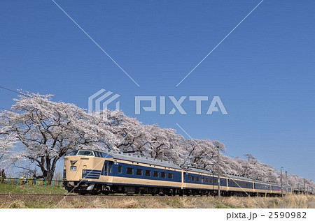 桜並木を行く特急型列車 2590982