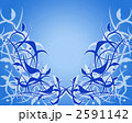 2591142