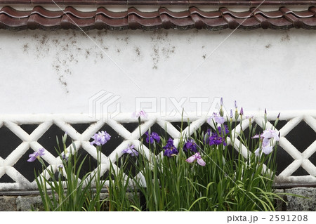 津和野 津和野 2591208