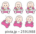 BABY 2591988