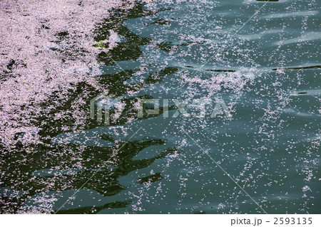 花筏の川面 2593135