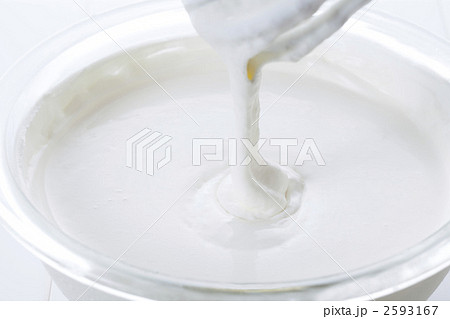 ホイップ 2593167