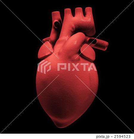 心臓 2594523