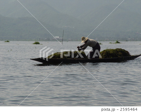 湖で働く人（インレー湖／ミャンマー） 2595464