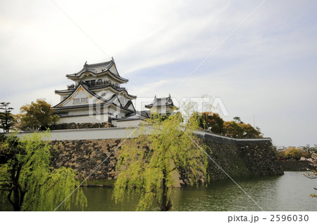 岸和田城 岸和田城 2596030