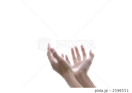 手 2596551
