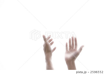 手 手 2596552
