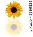 ひまわり 2596825