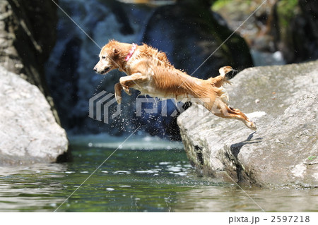 魚が滝　レッドリバー　飛び込み 2597218