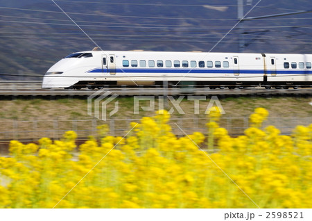 東海道新幹線300系 2598521