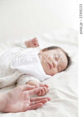 2599233