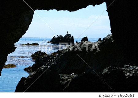 荒崎の海 2602061