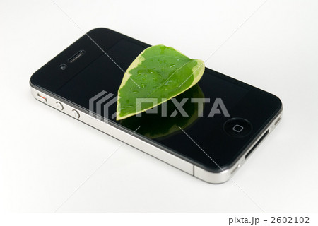 iPhoneと若葉 / エコロジーと通信のイメージ 2602102