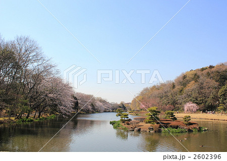 市川市・じゅん菜池緑地 2602396