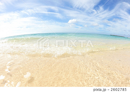 夕方のビーチ（与論島） 2602785