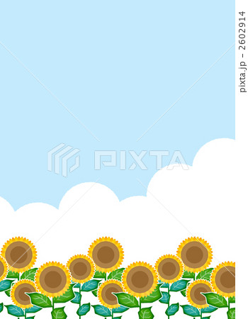 ひまわり ひまわり 2602914