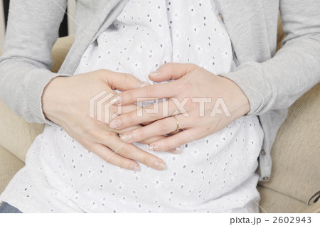 妊婦のおなか 妊婦のおなか 2602943