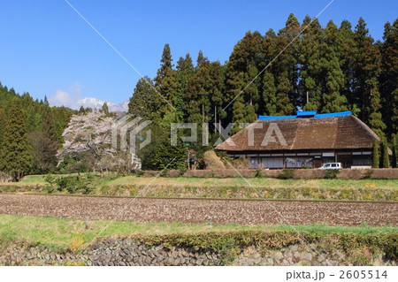 栃木の農家 2605514