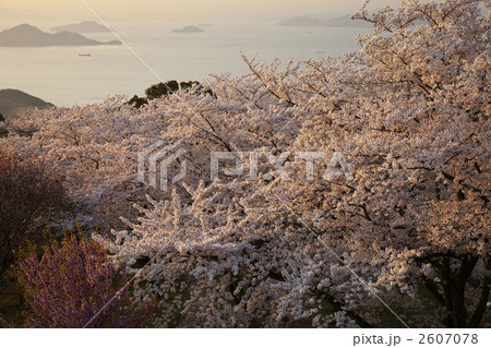 香川 三豊市 紫雲出山 香川 三豊市 紫雲出山 2607078