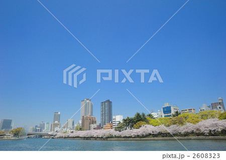 春の大川 春の大川 2608323