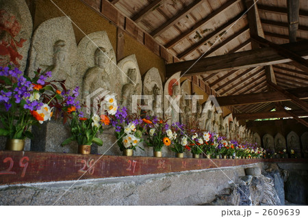 桃林寺の石仏 桃林寺の石仏 2609639