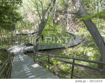 野草園水の谷 2611010