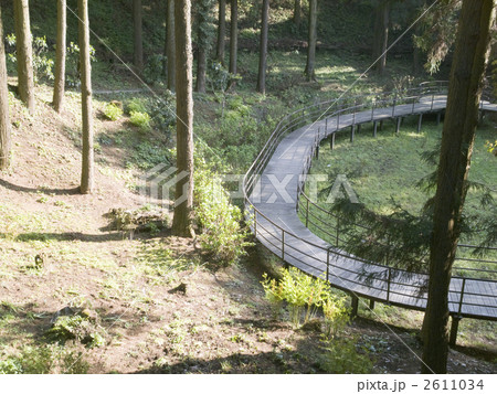 野草園の歩道 野草園の歩道 2611034