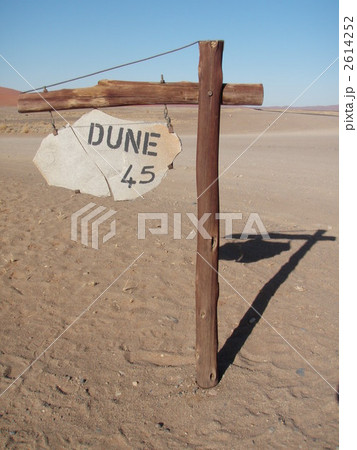 DUNE45(ナミブ砂漠) DUNE45(ナミブ砂漠) 2614252