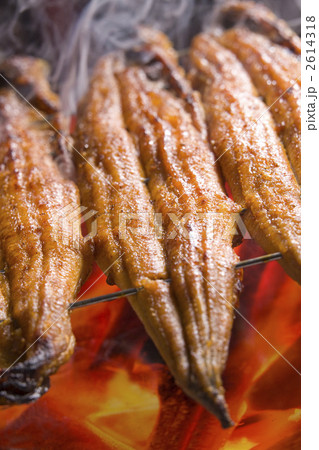 うなぎ蒲焼 2614318