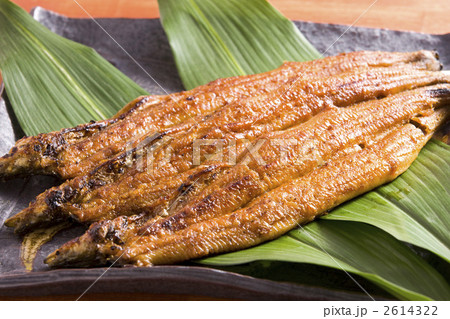 うなぎ蒲焼 2614322