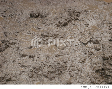 工事現場の泥 2614354