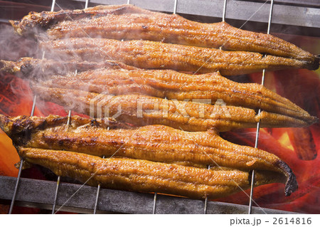 うなぎ蒲焼 2614816