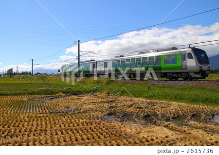 2615736