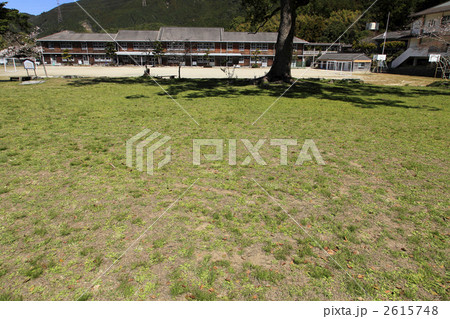 秋月中学校の芝生 2615748